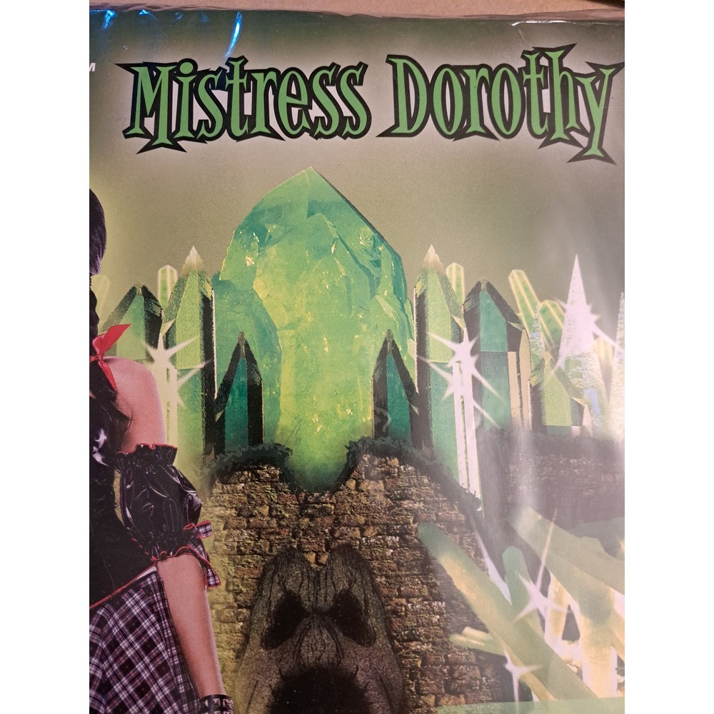 Paper Magic Group The Wicked of Oz Mistress Dorothy Costume Large 12-14 6809223 - Picture 5 of 7